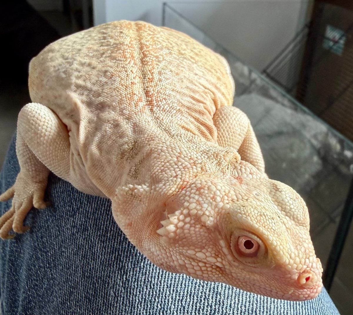 Specimen 7