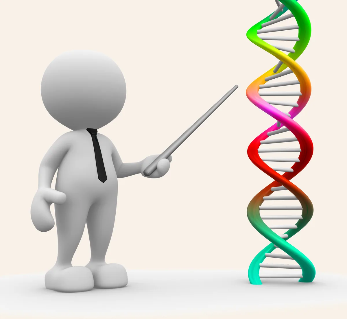 DNA double helix